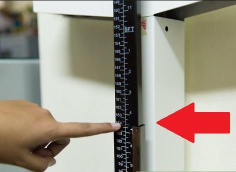 &Icirc;nălțimea pe care o ai arată TOTUL despre personalitatea ta! Lidia Fecioru a dezvăluit SECRETUL