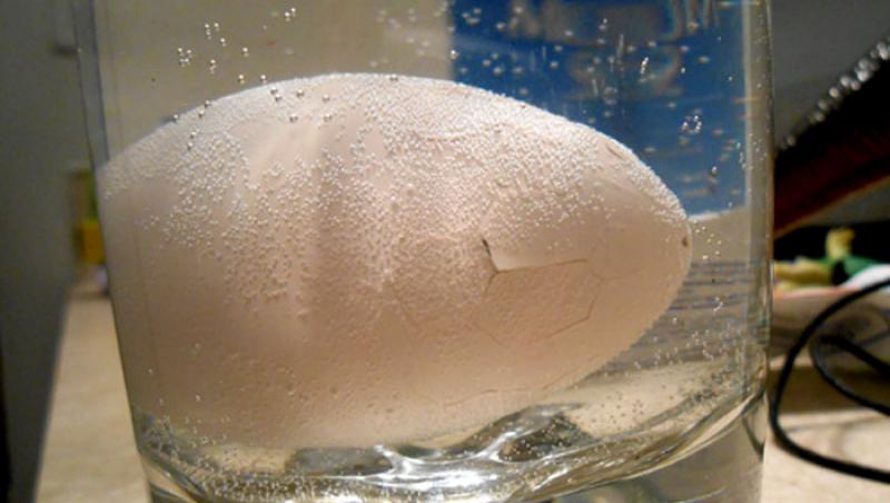 Foto VIRAL! A pus un ou într-un pahar cu apă. După 23 de ore, s-a speriat de ce a ieşit din el: 