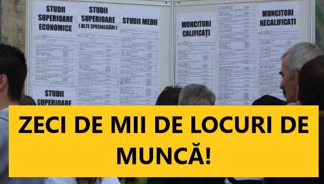 ZECI DE MII de locuri de muncă pentru rom&acirc;ni! Vezi care sunt orașele și domeniile &icirc;n care se fac ANGAJĂRI