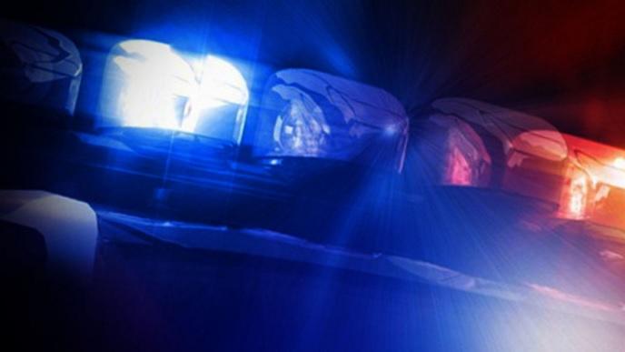 Doi copii rom&acirc;ni sunt INFRACTORI de temut &icirc;n SUA! Cum au furat mii de dolari