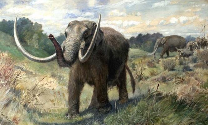 Descoperire COLOSALĂ &icirc;n Crimeea! Au vrut să construiască o autostradă, dar au rămas &icirc;nmărmuriți. I-au &icirc;nt&acirc;mpinat fragmente de ISTORIE ascunse