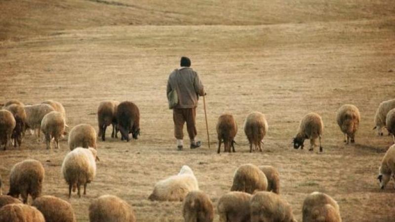 Ştirea anului! Cum a ajuns un CIOBAN să aibă de două ori mai multe datorii la ANAF dec&acirc;t comuna &icirc;n care locuieşte. Este pe locul 7 &icirc;n topul restanţierilor la stat!