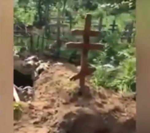 Caz ȘOCANT și MACABRU &icirc;ntr-un cimitir! Urșii au m&acirc;ncat cel puțin 20 de cadavre - VIDEO