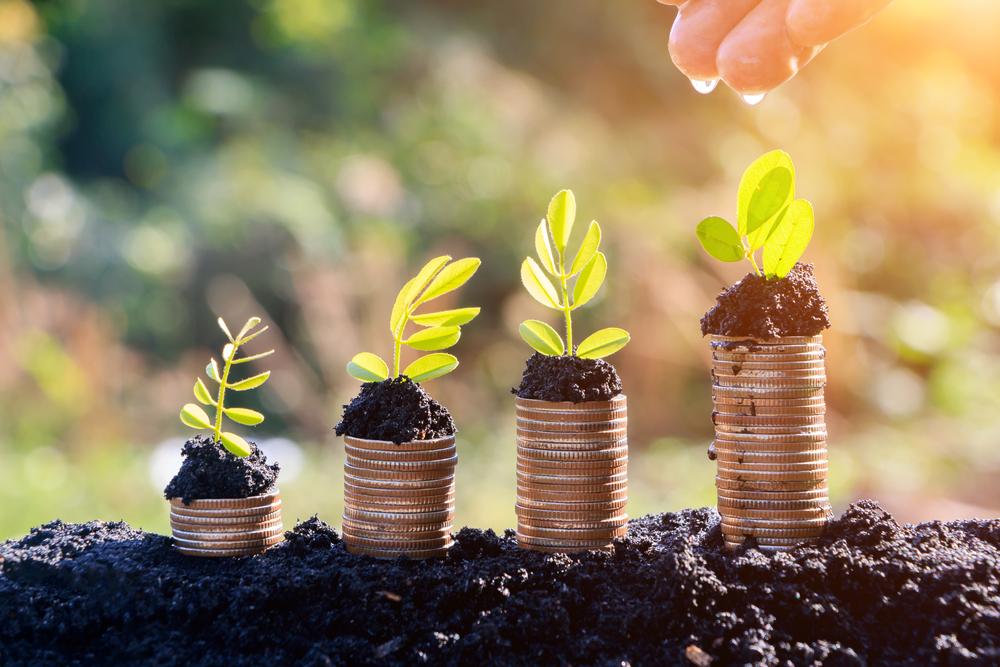 Cum să g&acirc;ndești un buget realist, pornind de la veniturile tale. Ce trebuie să faci ca să &icirc;ți permiți mai mult