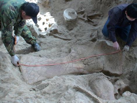 Descoperire uluitoare a unui cioban aflat cu oile la păscut: Sunt fosilele unui ''dragon uimitor''. Ce a găsit omul?