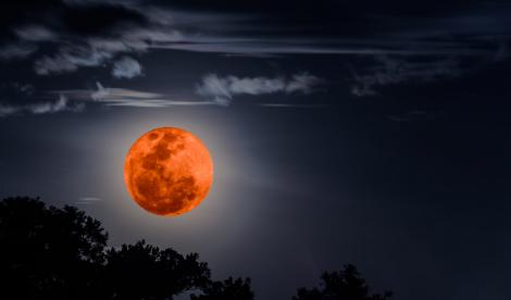 Trei zodii își vor întâlni dragostea datorită eclipsei de lună. Află care sunt acestea