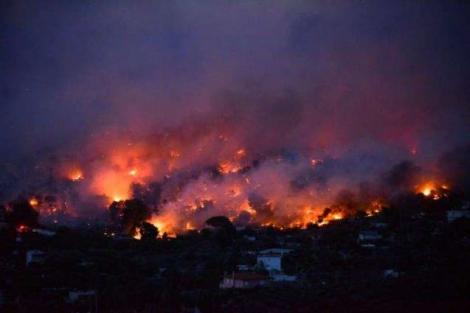 După Grecia, o altă țară a fost lovită de incendii devastatoare! Suedia, pregătită să ceară ajutor din partea NATO pentru a face faţă focului izbucnit în pădure