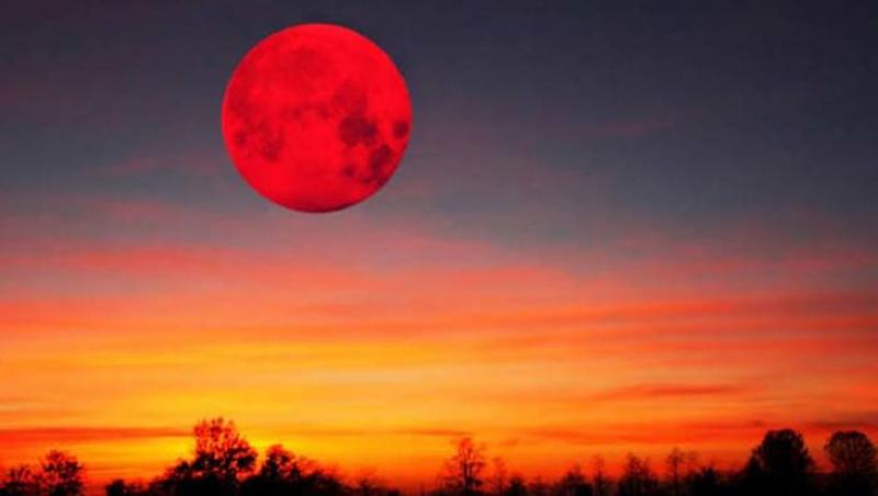 Zodiile care își găsesc marea dragoste în aceste zile! Eclipsa de Lună aduce vești SENZAȚIONALE!
