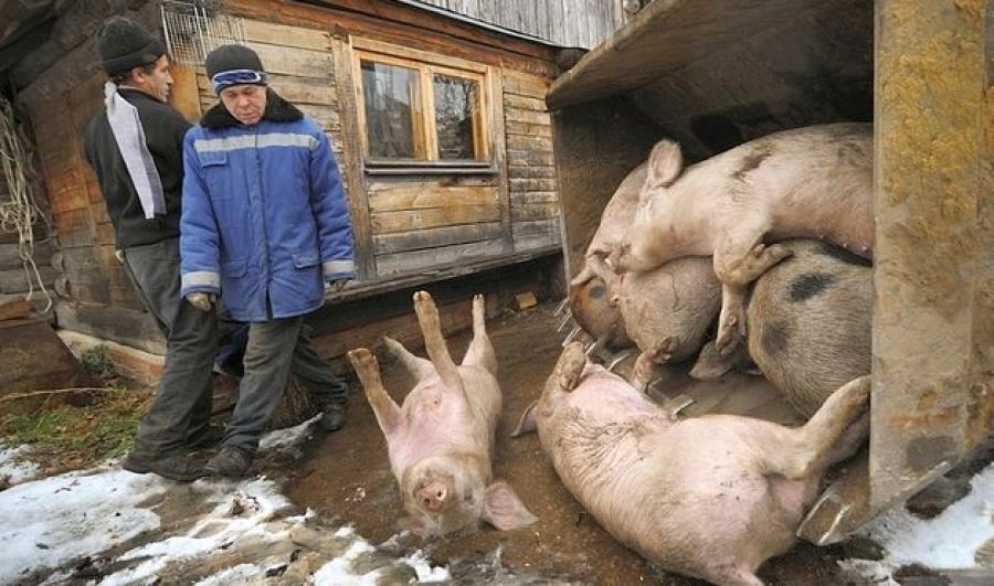 Autoritățile din Constanța, &icirc;n ALERTĂ! Se va &icirc;nt&acirc;mpla s&acirc;mbătă, iar mulți rom&acirc;ni sunt speriați! Autoritățile &icirc;ncearcă să oprească răsp&acirc;ndirea virusului