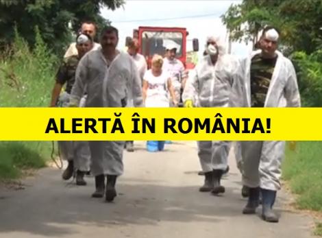 ALERTĂ în România! Virusul care face ravagii în toată țara! Peste 500 de focare în zeci de localități