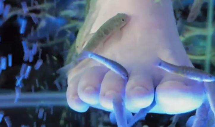 TRAGEDIE &icirc;n viața unei femei, după ce și-a făcut o pedichiură cu pești. Această extravaganță a marcat-o pentru totdeauna!