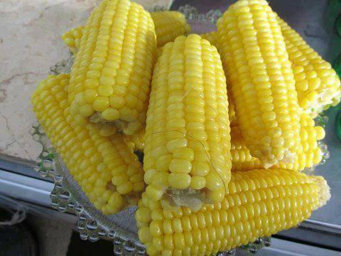 E ALERTĂ! Nouă oameni au murit după ce au m&acirc;ncat PORUMB FIERT ce fusese infestat