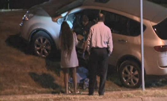 Mama SUPEREROINĂ. A văzut cum &icirc;i erau răpiţi copiii. Cum i-a salvat femeia a st&acirc;rnit un val de admiraţie online