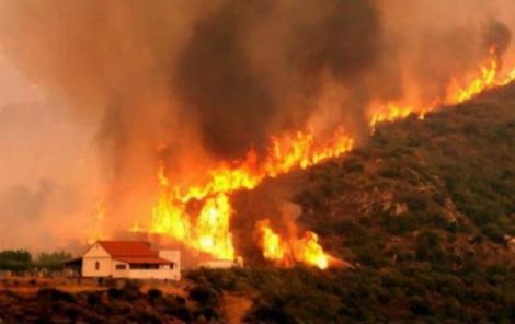 Rudele unor victime ale incendiului din Grecia au declarat RĂZBOI autorităților! Ce s-ar putea întâmpla în următoarea perioadă