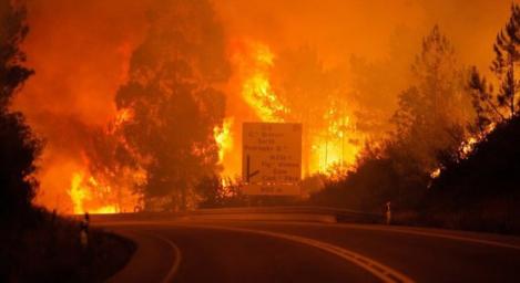Arde de 7 zile și nu sunt semne că s-ar opri prea curând! Incendiul din Portugalia se întinde pe aproape 100 de kilometri!