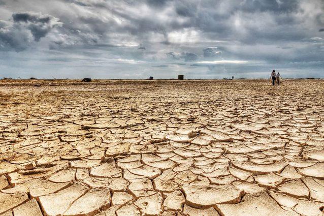 Anunț ȘOC: &rdquo;E o criză fără precedent! Nu vor exista produse pentru a hrăni 550 de MILIOANE de locuitori!&rdquo;&nbsp;