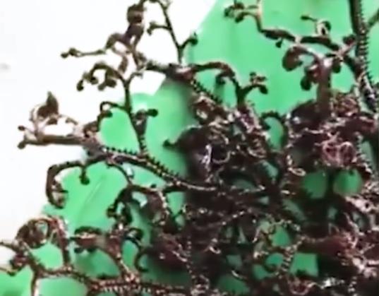 A fost găsită o creatură EXTRATERESTRĂ? Imaginile care ȘOCHEAZĂ &icirc;ntreaga lume &ndash; VIDEO