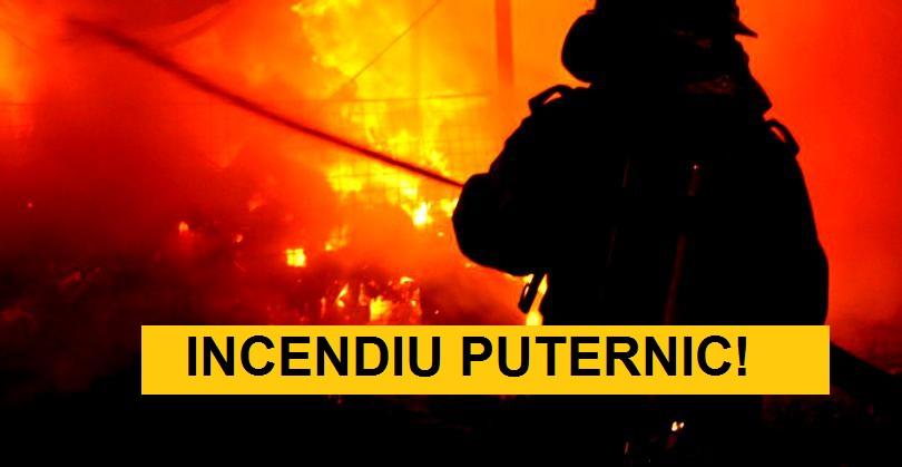 [VIDEO] Imagini din INFERN: Un incendiu puternic a izbucnit &icirc;n Arad! Fumul toxic ameninţă sănătatea oamenilor