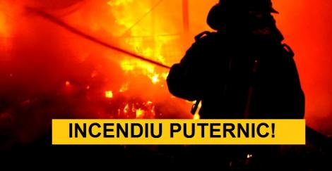 [VIDEO] Imagini din INFERN: Un incendiu puternic a izbucnit în Arad! Fumul toxic ameninţă sănătatea oamenilor