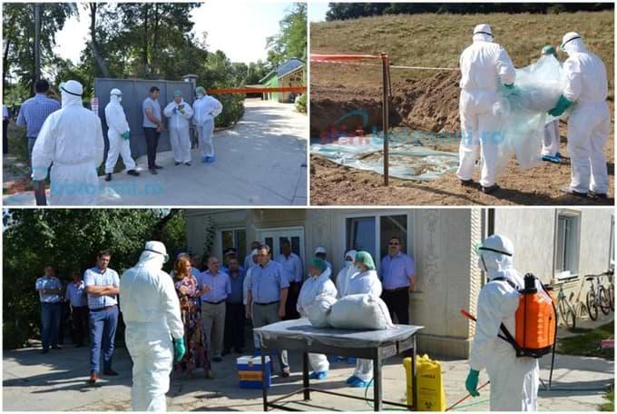 Virusul care a st&acirc;rnit panică, confirmat &icirc;n apropiere de București! Autoritățile sunt &icirc;n alertă, căci boala se răsp&acirc;ndește cu repeziciune!