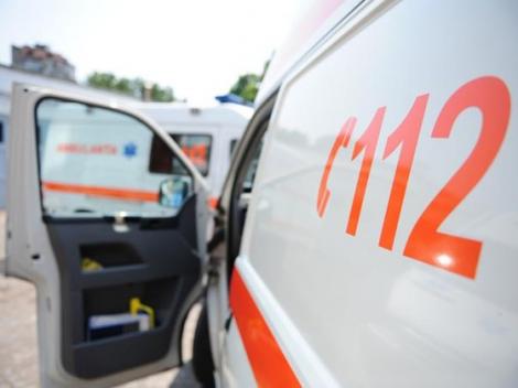 Caz ȘOCANT pe o stradă din Sibiu! Un copil a ajuns la spital după ce a fost mușcat de un șarpe