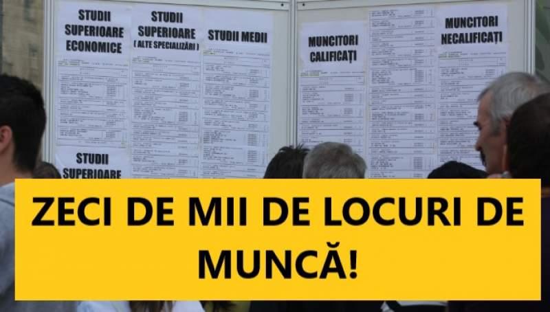 Se fac ANGAJĂRI MASIVE! Zeci de mii de locuri de muncă, disponibile! Iată care sunt cele mai căutate posturi!