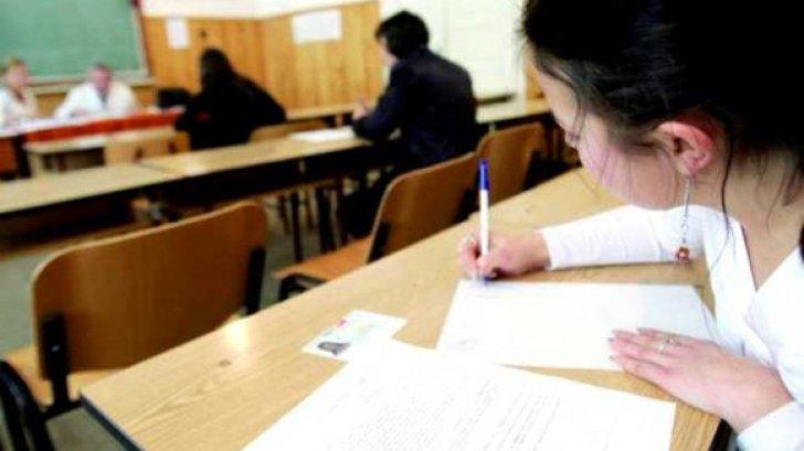 BAC 2018 Sesiunea Toamnă, Limba Maternă. Ce a picat la examen
