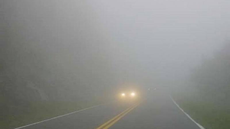 ATENŢIE MARE, e jale pe şosele! A fost anunţat COD GALBEN de ceaţă. Zonele afectate!