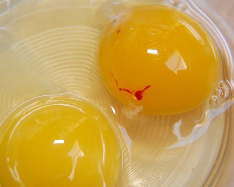 Tu ştii ce sunt PETELE ROŞII pe care le observi când spargi un ou?! Nici prin cap nu ţi-ar fi trecut!