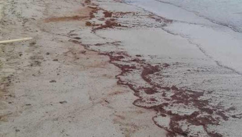 Pericol pe litoral! S-au scos 12 TONE de material TOXIC din nisipul de pe o plajă din Mangalia. Zona a fost închisă!