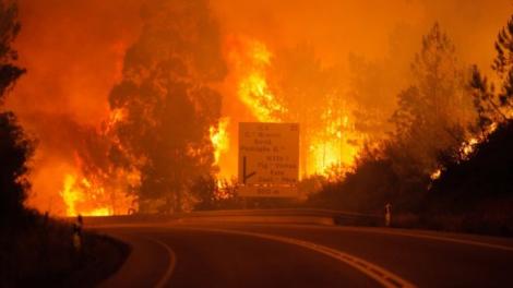 Arde de PATRU ZILE! Incendiu de vegetaţie în Portugalia! Ar putea urma o tragedie: Pompierii sunt depășiți