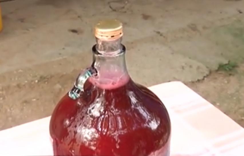 Un bărbat din Craiova face vin natural fără struguri! Licoarea obținută e un adevărat MIRACOL pentru sănătate!