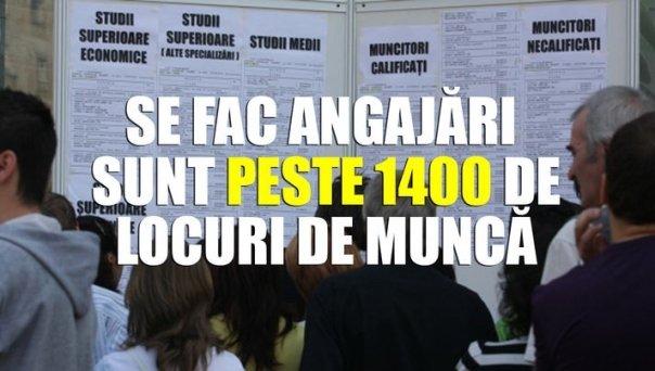 Se fac ANGAJĂRI MASIVE! Sunt mii de locuri disponibile și n-ai nevoie de studii superioare! Cele mai căutate posturi