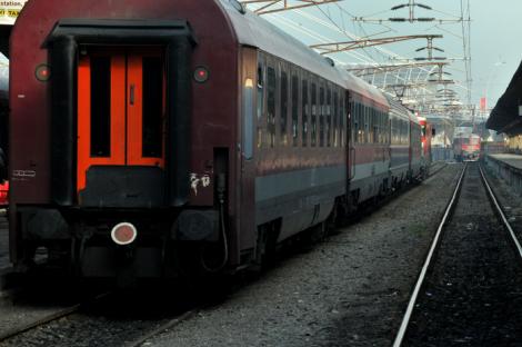 ATENȚIE! Trenuri blocate pe cea mai mare arteră feroviară din România, din cauza unor copaci prăbuşiţi peste cablurile electrice