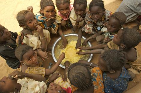 Este din ce în ce mai rău! ONU a anunțat că numărul persoanelor care suferă de foame la nivel mondial a crescut la 821 milioane!
