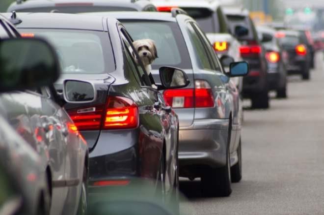 Șoferi, atenție! Traficul va fi restricționat, s&acirc;mbătă, &icirc;n București. Orele la care NU se va circula &icirc;n condiții normale