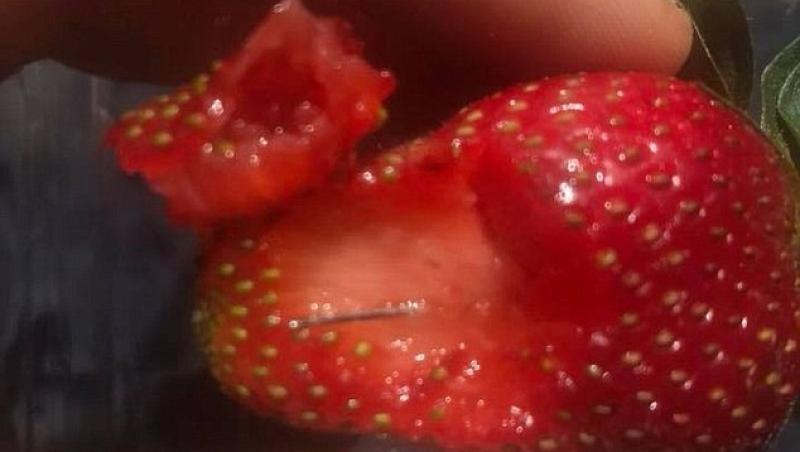 Este HAOS în Australia, după ce s-au găsit ACE DE CUSUT în interiorul căpșunilor de pe piață. Prima arestare, astăzi!