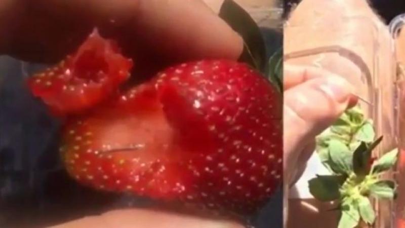 Nu e nicio glumă. Au fost găsite fructe CONTAMINATE &icirc;n supermarket: &bdquo;Clienții pot &icirc;napoia fructele&rdquo;