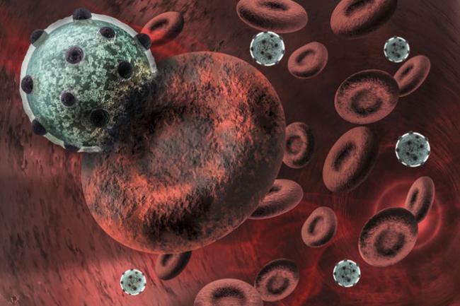 Medicii, puși &icirc;n fața unei situații fără precedent! A apărut primul caz de hepatita E la om, transmisă de la șobolani! Iată care sunt simptomele!