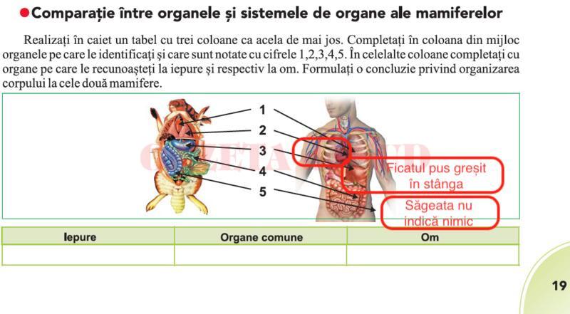 Ce greșeli există &icirc;n manualul de Biologie clasa a VI-a, an școlar 2019