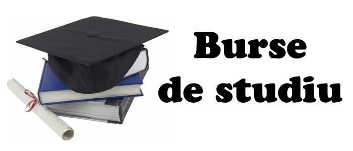 Structura anului școlar 2018 2019. Acte necesare pentru obținerea bursei de studiu elevi