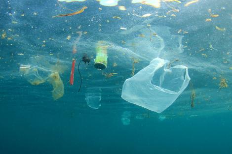 Pas important în lupta împotriva poluării! Cercetătorii chinezi au inventat plasticul ce se dizolvă în apa sărată!