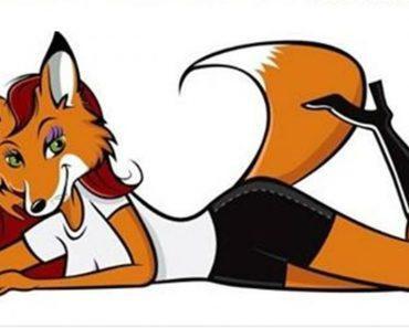 Ești tigroaică sau... balenă? Cu ce animal se aseamănă femeia &icirc;n funcție de zodie