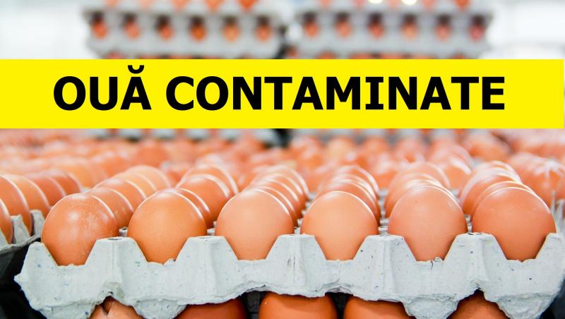Ouă toxice, în România! Inspectorii sanitari din Teleorman au făcut o descoperire șocantă