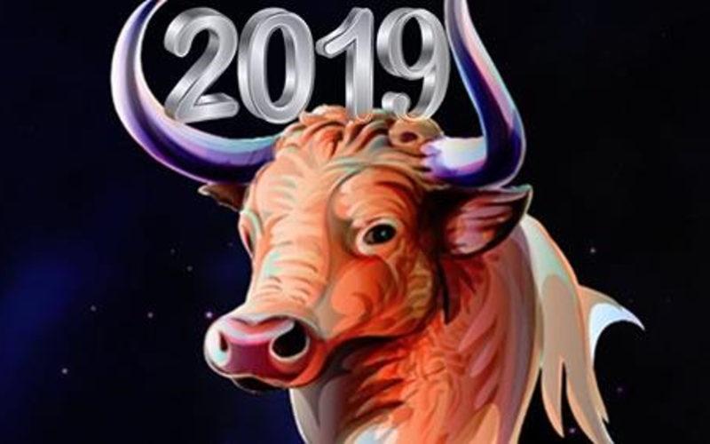 Zodii cu noroc la bani &icirc;n 2019. Zodia Taur, singura zodie din horoscop care va avea tot ce-și dorește