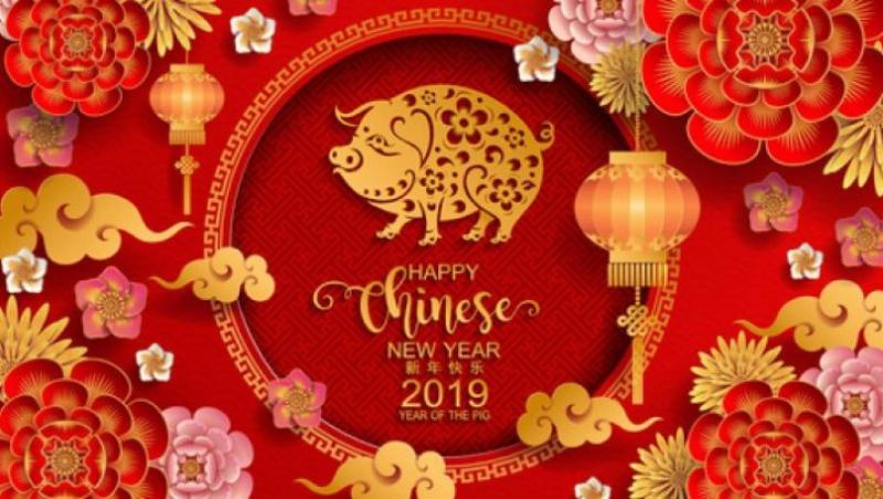 2019, Anul Porcului în zodiacul chinezesc! Surprize uriașe pentru cei născuți între 1986 și 1993