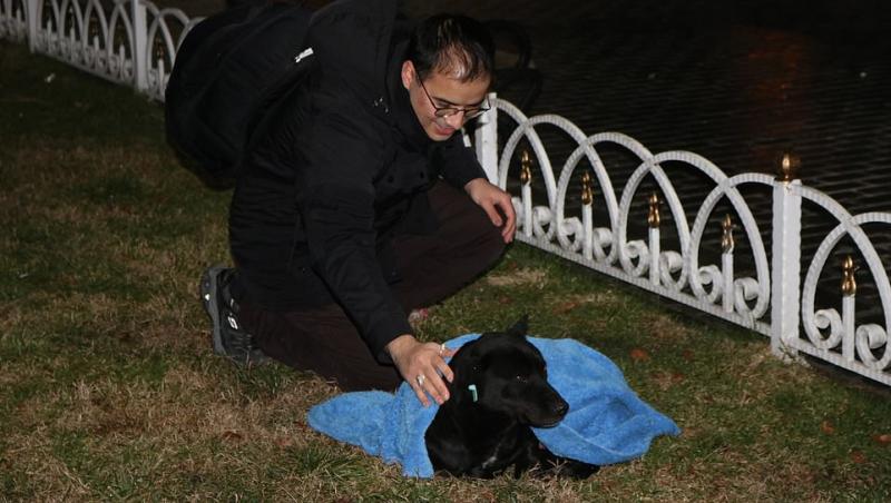 Trăiește ca să ajute! În fiecare noapte, „eroul cu pătură” salvează zeci de animale de la moarte sigură FOTO