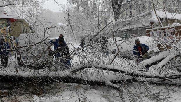 Un bărbat, găsit inconştient pe o stradă din Bucureşti! Ar fi fost lovit de crengile unui copac!