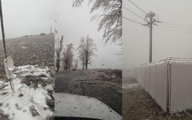 Bilanț teribil după ploaia &icirc;nghețată care a afectat 18 județe și Capitala: sute de copaci puși la păm&acirc;nt și mașini avariate