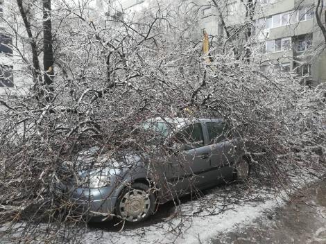Anunțul de ultimă oră făcut de autorități! Toți proprietarii mașinilor avariate din cauza ploii înghețate vor fi despăgubiți